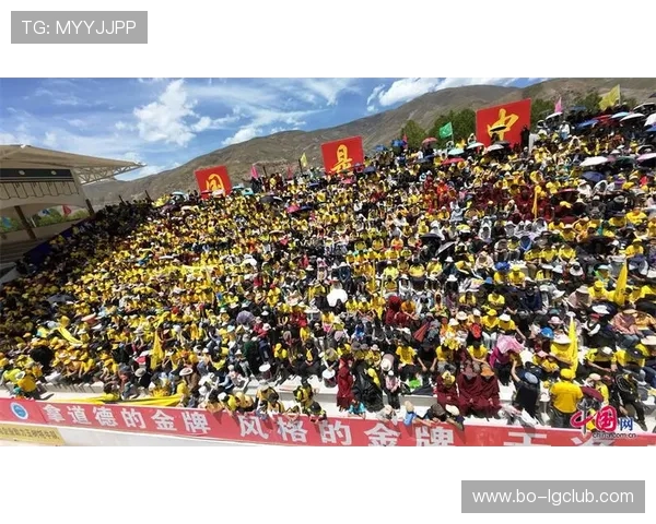 玉树足球队勇夺冠军展望赛场风云再起续写辉煌征程